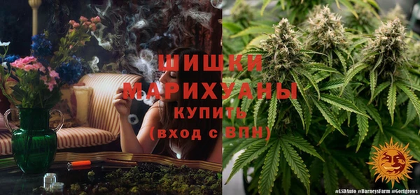 PSILOCYBIN Белоозёрский