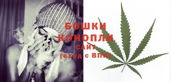 PSILOCYBIN Белоозёрский