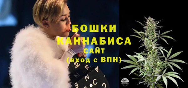 PSILOCYBIN Белоозёрский